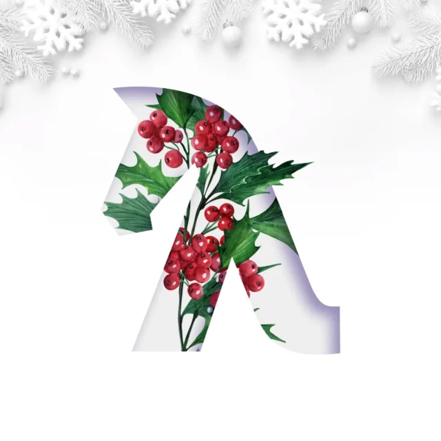 #christmas2024 #decembervibes #larissachristmas #christmastree #christmasdecor #happynewyear2025